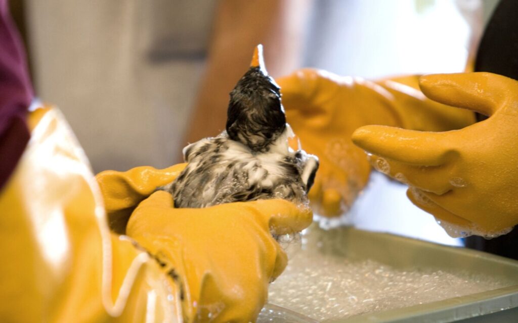 Untitled design 88 1