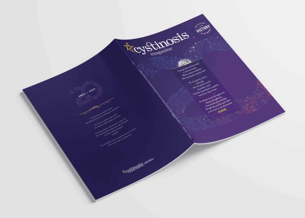 15 1024x731 15 1024x731