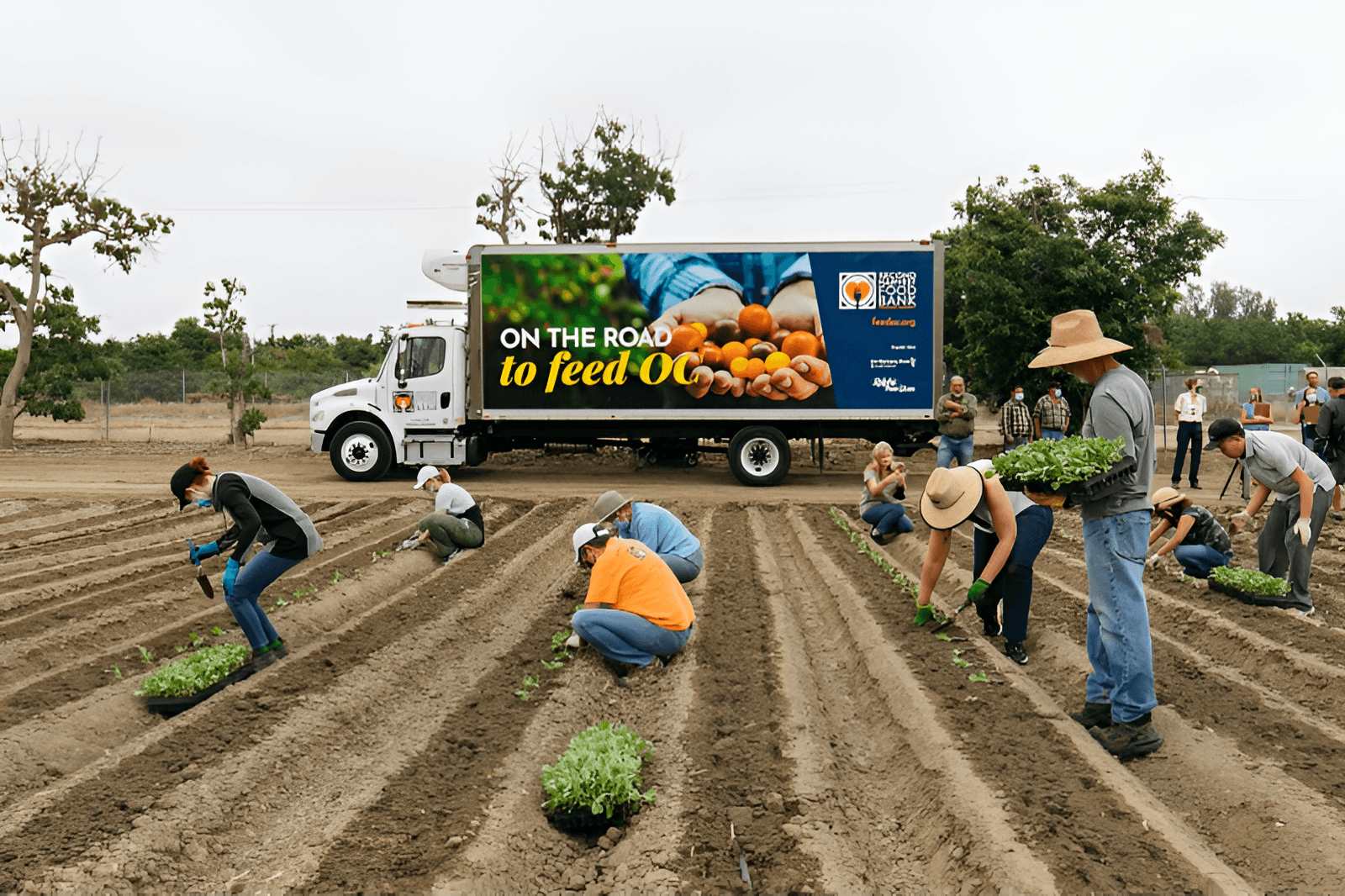 Second Harvest primary still image