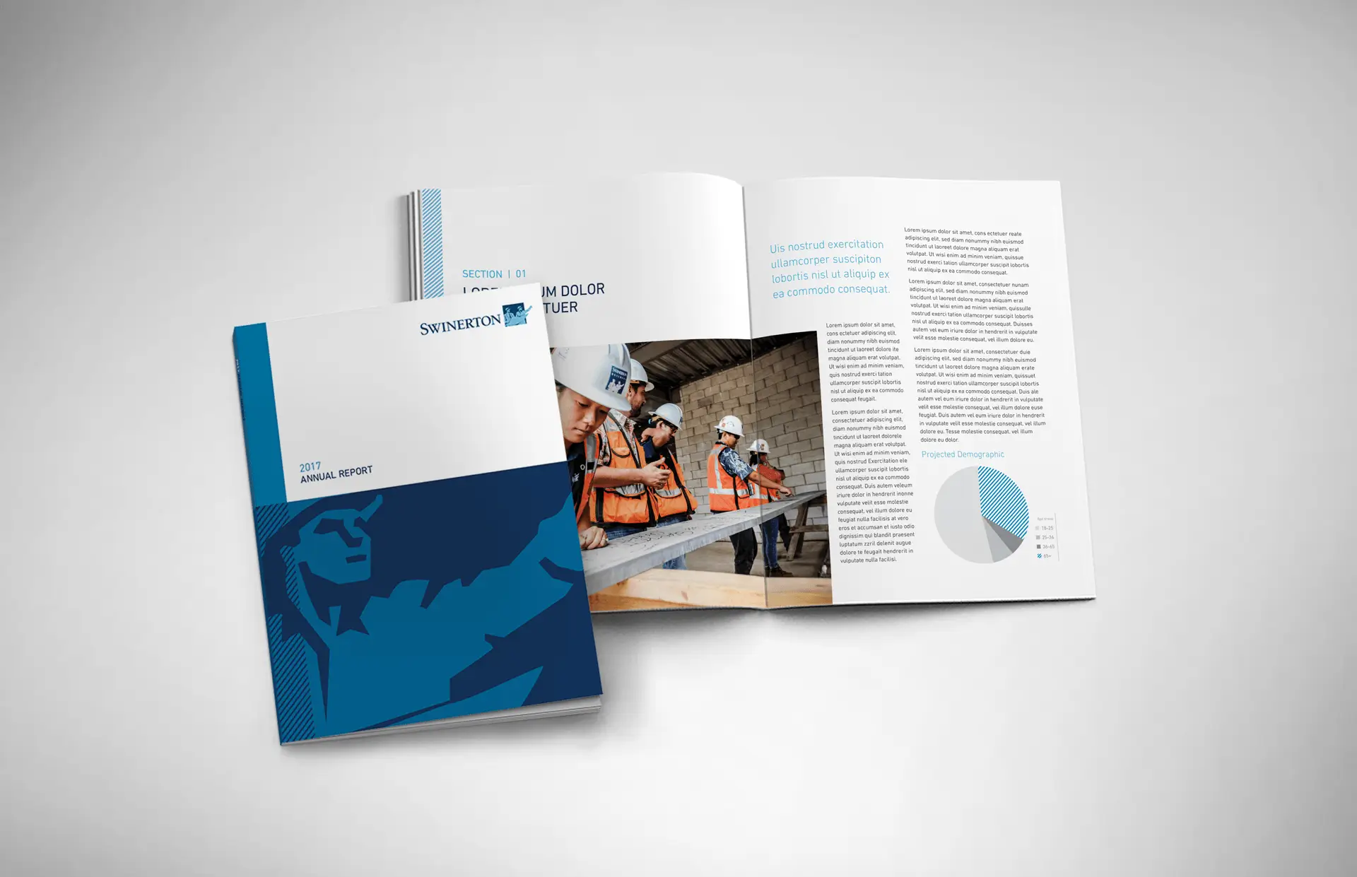 SwinertonAnnualReport Gray 2