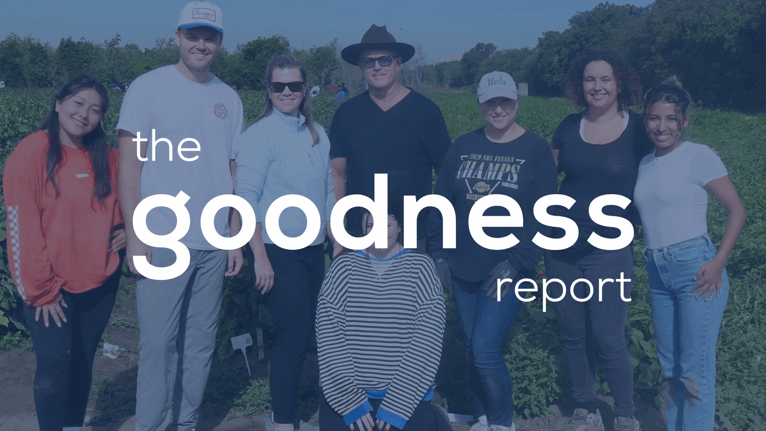 Goodness Report Linkedin Article Cover (18) copy