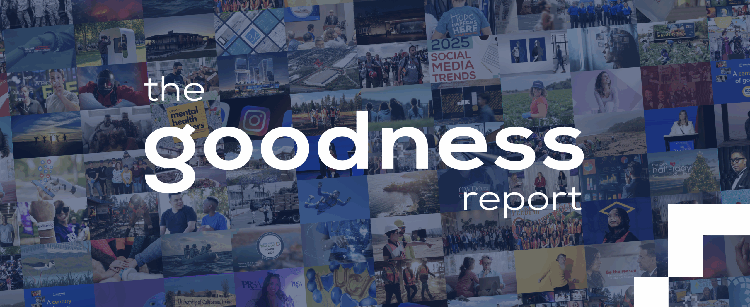Goodness Report Website Cover (1) Goodness Report Website Cover (1)