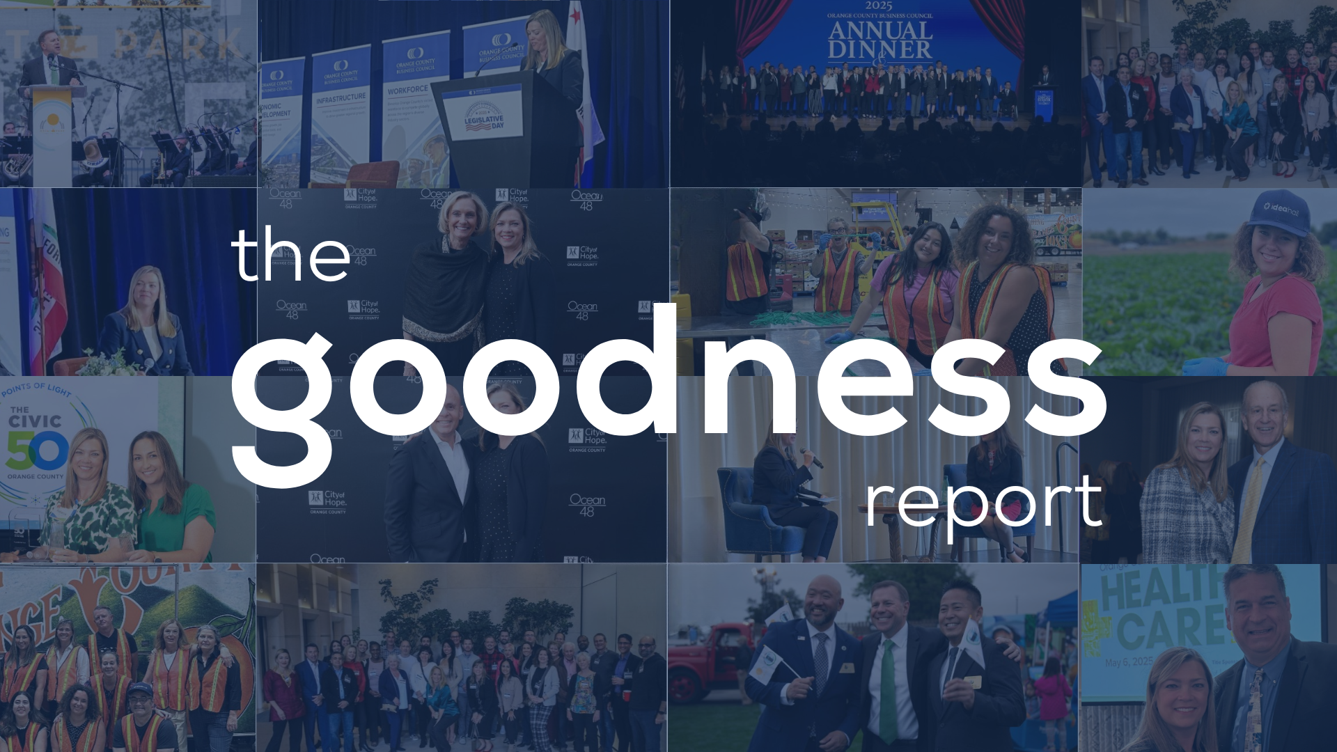 Goodness Report Linkedin Article Cover (37)