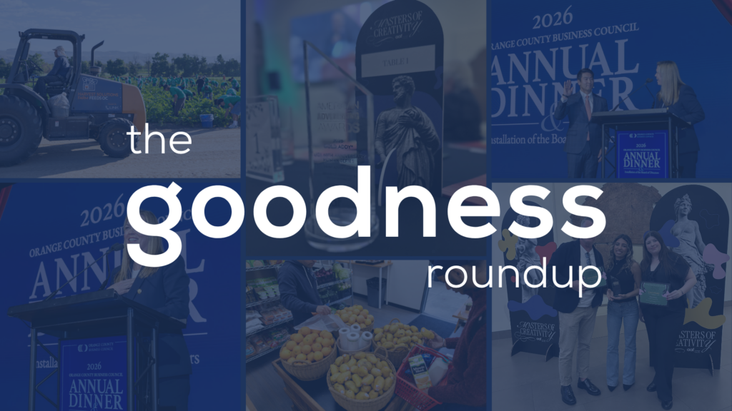 2026 Goodness Report - Linkedin Article Cover (14)